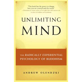 Unlimiting Mind: The Radically Experiential Psychology of Buddhism