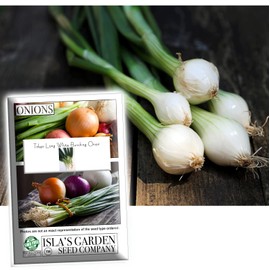 Tokyo Long White Bunching Onion Seeds for Planting, 300+ Heirloom Seeds Per Packet, (Isla's Garden Seeds), Non GMO Seeds, Botanical Name: Allium fistulosum, Garden Gift!
