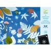 Djeco Cyanotype Paper - 12 Refill Sheets