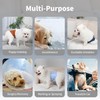 vecomfy Pañales para Perros Machos (Paquete de 5), Lavables, Reutilizables,