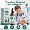 Collapsed Trachea Treatment for Dogs, Trachea Cough Elixir, Dog Cough