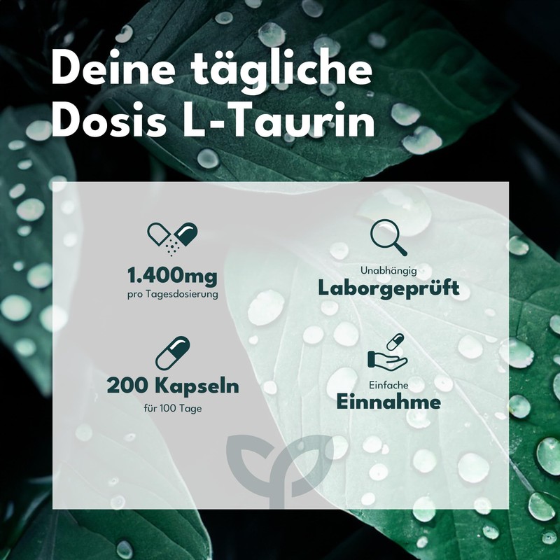 SOLVISAN L-Taurin Kapseln hochdosiert mit 1400 mg pro Tag -