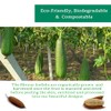 Esponjas 100 Naturales Cuerpo Nuestra Esponja Lufa Natural Está Elaborada