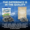 GIANTS Kettle Roast Dill Pickle Sunflower Seeds - Sunflower Seeds