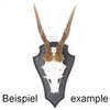 Generisch Deer Trophy Sign Pointed Oak Dark Large AF 21