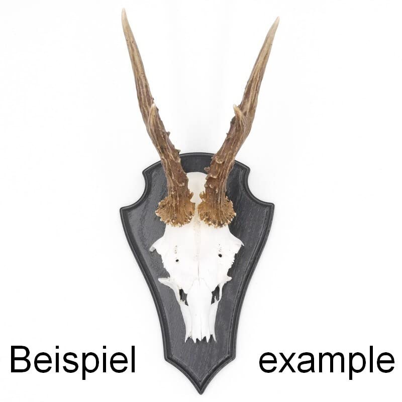 Generisch Deer Trophy Sign Pointed Oak Dark Large AF 21