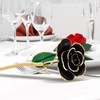 Long Stem Dipped 24k Gold Trim Red Rose In Gold