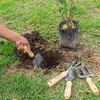 Truper JJ-4, Juego de 4 herramientas para jardín, 6"