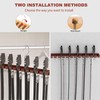Cuipingoo Belt Hanger for Closet Max 42 Belts, 12+11 Storage