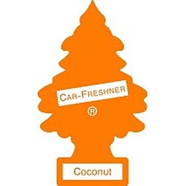 LITTLE TREES Car Air Freshener | Hanging Paper Tree for Home or Car | Coconut | 12 Pack (Packaging May Vary)