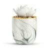 Demdaco Creativity and Courage Succulent White 4.5 x 3 Ceramic