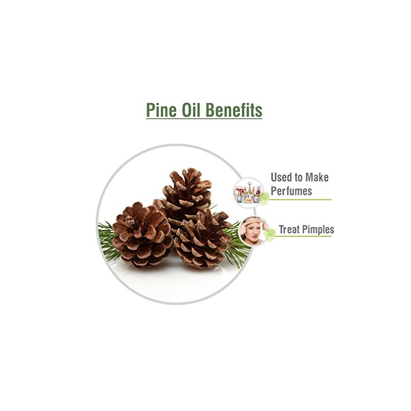 Salvia Pine (Pinus Sylvestris) Essential Oil Pure & Natural -
