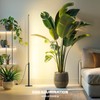 Barrina T10 Pro Standing Grow Light with Timer, 42W, 169