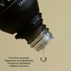 Vitruvi Breathe Minty and Cooling Essential Oil Blend with Peppermint,