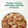 Nutro Ultra Wet Dog Food Grain Free Filets, Adult Dog