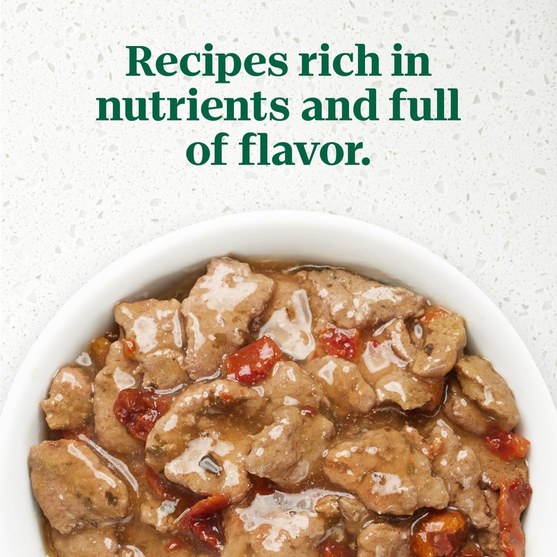 Nutro Ultra Wet Dog Food Grain Free Filets, Adult Dog