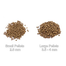 Sho Koi Impact - Large Floating Pellet (5.5mm) 3 lbs