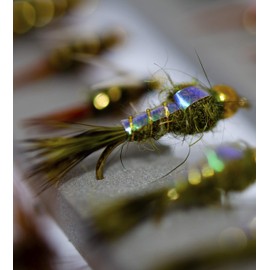 Outdoor Planet Surtido de 50 moscas de pesca con mosca de alta calidad, caja impermeable para moscas secas, moscas húmedas, moscas ninfas, caddis | Juego de señuelos de pesca de trucha