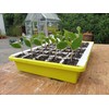 BUSTASEED Tip Out Propagation Kit - Sustainable, Reusable and Extra