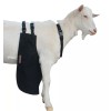 Olor Buck Apron™ Anti Mating Anti Breeding OLOR Buck Apron™