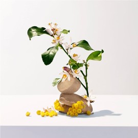 Roger&Gallet Neroli Body Lotion, 250ml