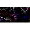 White Lightning Strike Graphic Vinyl Car Wrap Film Sheet +
