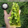 Hydroponic Growing Sponge, Vegetable Planting Sponge, Gardening Supplies, Hydroponic Cultivation,