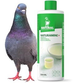 Naturamine (Natural) - Bird Molting Supplement & Tonic for Pigeons, para Palomas 500ml
