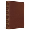 ESV Systematic Theology Study Bible: Theology Rooted in the Word