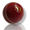 Neo Cricket Leather Ball, 2-Piece Construction, for T20 and 30-40