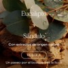 RAW SUGAR Eucalyptus Sandalwood Boost Gel de Ducha Refrescante 591