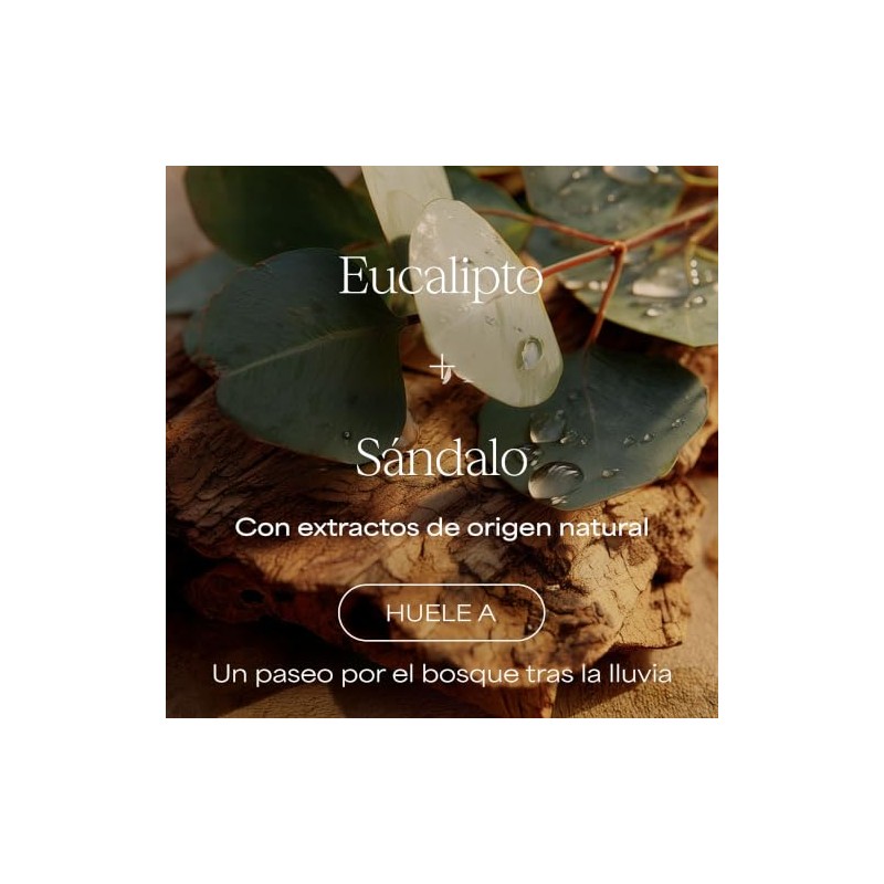 RAW SUGAR Eucalyptus Sandalwood Boost Gel de Ducha Refrescante 591