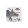 Hello Chums Wash Cloth - Dinosaur Magic Flannel, Face Cloths