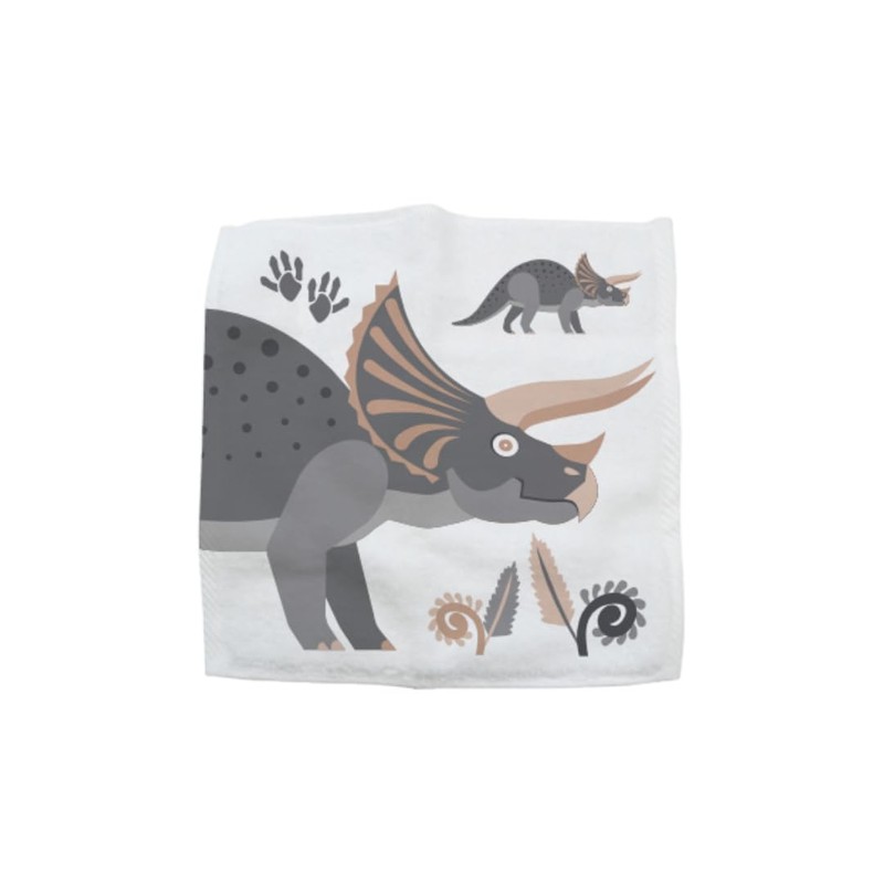 Hello Chums Wash Cloth - Dinosaur Magic Flannel, Face Cloths