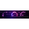 newlineperformance Pink Climate Control LED Bulb Kit for Toyota Tacoma