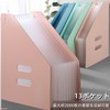 GONGXIFACAI Jabara File A4 Thick Foam PP 13 Pockets Document