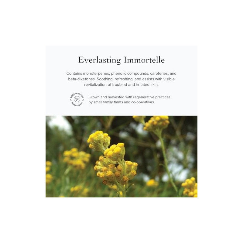 Wild Carrot Eye Balm by evanhealy