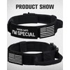 Joytale Tactical Dog Collar with Handle, Adjustable Heavy Duty Military
