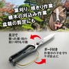 Kinboshi 3221 Venus Leaf Cutting Shears (Metal Stop) 10.6 inches