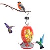 Hummingbirds Water Feeder Colorful Painting Glass Bird Feeding Tool for