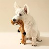 HNPOLIS 10 PCS Premium Squeaky Dog Crinkle Toys, Animal Plush/Chew