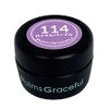 Palms Graceful Color Gel 3g 114 Royal Purple