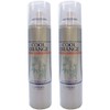 【X2個セット】 ルベル/LebeL クールオレンジ フレッシュシャワー 225g