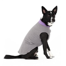 Gold Paw Duluth Double Fleece Dog Coat Pullover – Soft, Warm Dog Clothes, 4-Way Stretch Pet Sweater – Machine Washable, All-Season, Charcoal/Lavender, 14