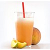 Peach Mango Smoothie Mix - 1.5 Lb Container (24 Oz)