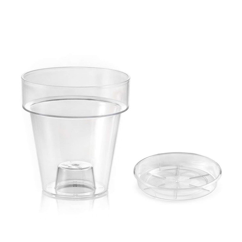 TERAPLAST Porto Clear Orchid Vase with 4 Drainage Holes Vase