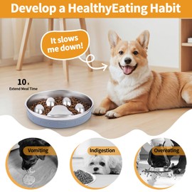 YeQIENGC Slow Feeder Dog Bowl - 2-in-1 Stainless Steel Pet Bowl (8.27"x1.57", 33.8oz) with Non-Slip Base - Reversible Paw Design for Small/Medium/Large Dogs - Helps Slow Fast Eating for Dry & Wet Food