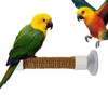 Window Perch for Birds | Parakeet Training Stand | Suction