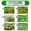 Rainbow Chemical "Root Eradication Ace V" Granules 350g