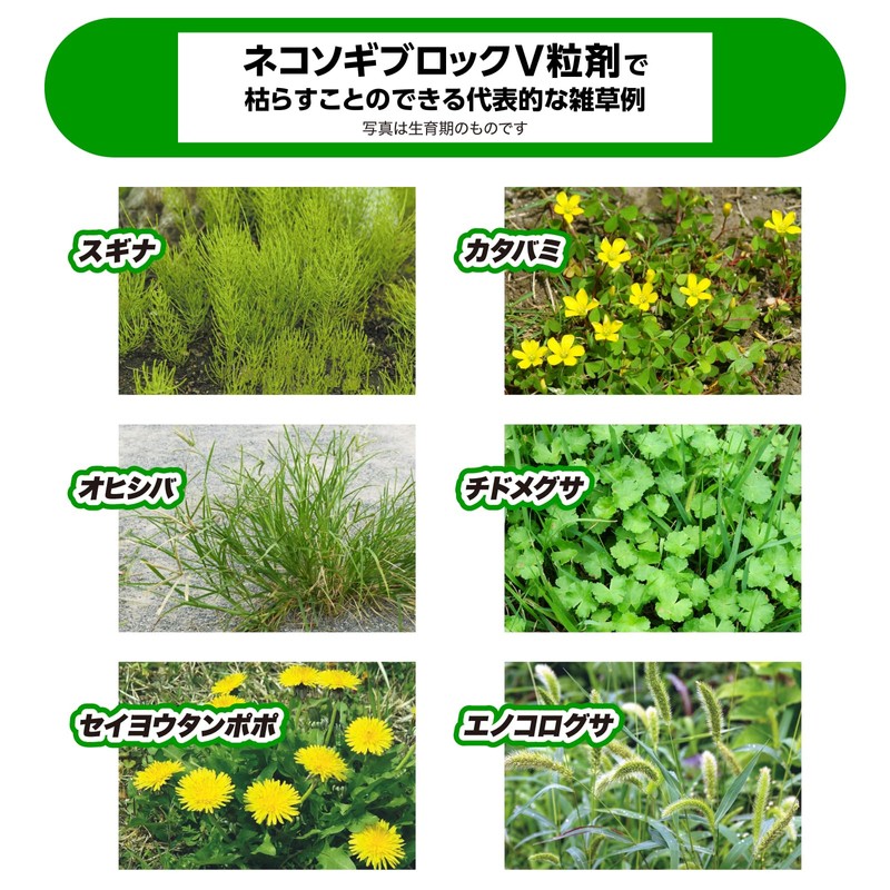 Rainbow Chemical "Root Eradication Ace V" Granules 350g